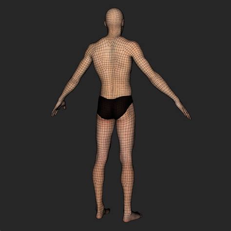 Peter Base Mesh 3D Model By Vyusur