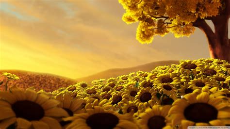 Sunflower garden, nature, sunflowers, flowers, trees HD wallpaper ...