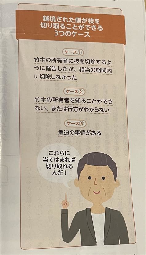 【越境した竹林切除に新ルール】民法改正2023年4月から サラリーマン再エネ推進！！行政書士 幹男