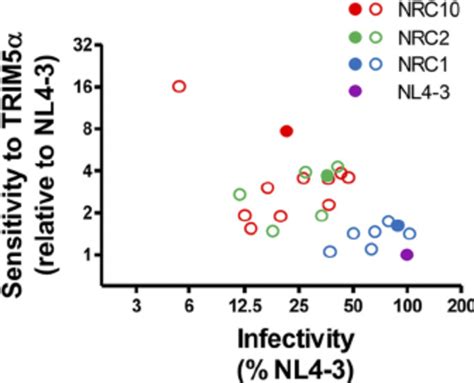 Effect Of Mutations Associated With Escape From CTL Targeting The