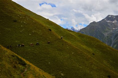 Bara Bhangal Bada Bhangal Village Trek Bir Billing To Manali