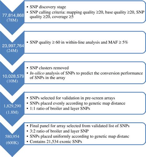 Flow Diagram Showing The Snp Selection Steps With Major Criteria