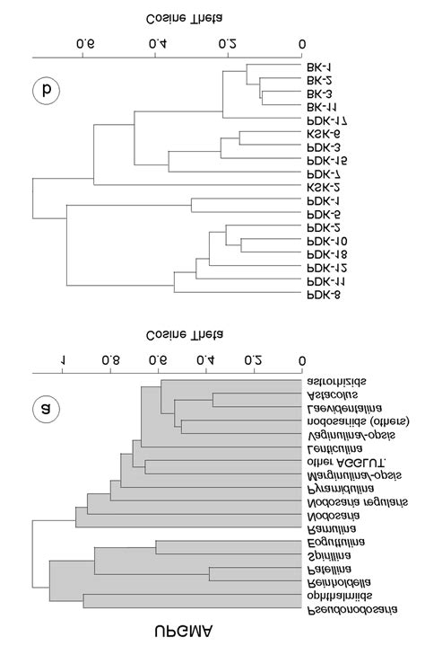 Dendrogram From Cluster Analysis Based On Percentage Abundance Of