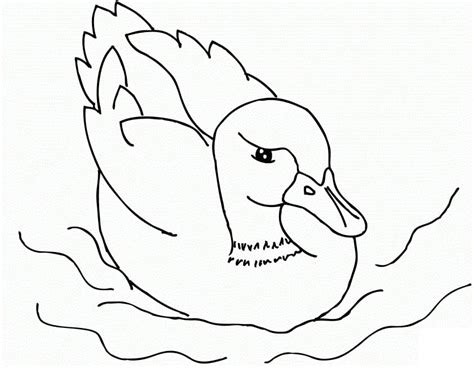 Coloriage Canard Gratuit télécharger et imprimer gratuit sur