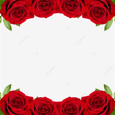 Frame Of New Red Flowers Vintage Rose Flowers Rose White Flower Png And Vector With