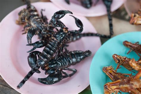 51 Creepy Crawlies That You Can And Should Eat