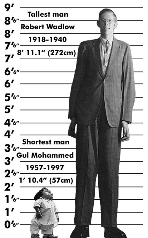 Robert Wadlow Of Alton Illinois Widely Believed To Be The Tallest Man