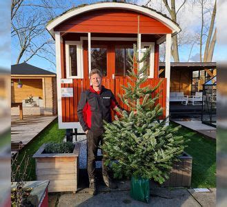 Echte Kerstboom Kopen Online Grote Nordmann 2 5 4 Meter