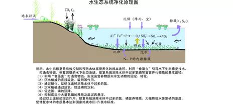 技术交流城镇河道生态修复及水处理技术 水体