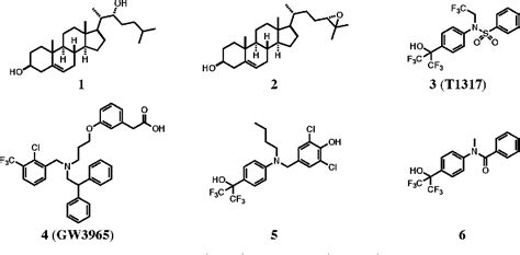 Figure From Design Synthesis And Biological Evaluation Of Novel