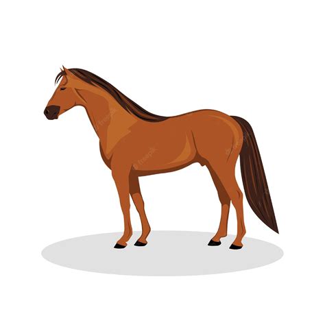 Dibujos Animados De Caballo Marrón Con Vector De Ilustración De Fondo