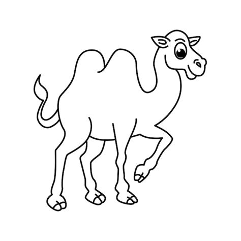 Premium Vector Cute Camel Cartoon Coloring Page Vector