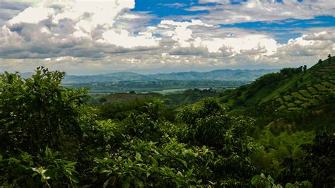 Your Ultimate Travel Guide to Armenia, Colombia