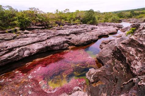 Excursi N A Ca O Cristales Desde Bogot D As Getyourguide