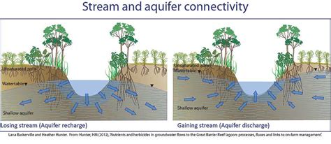 Modelling Groundwater Transport Of Nutrients And Herbicides