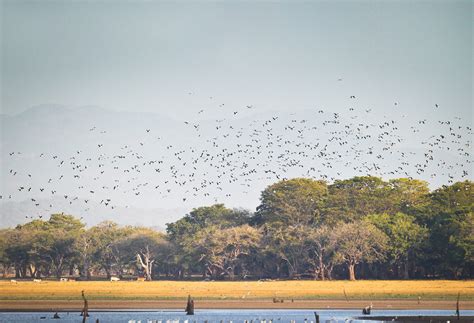 Kala Wewa | Attractions in Anuradhapura, Sri Lanka