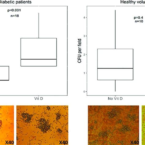 Colony Forming Units Cfu In Light Microscopy Cfu Per Field As Seen Download Scientific