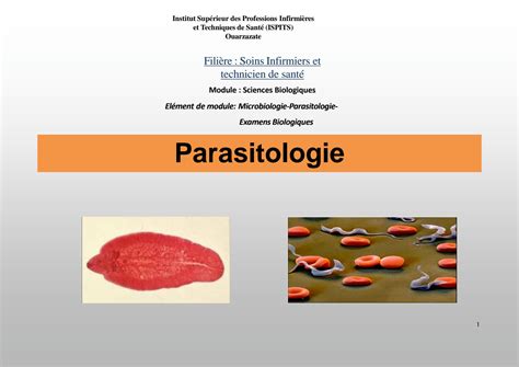 SOLUTION Parasitologie Ppt Studypool