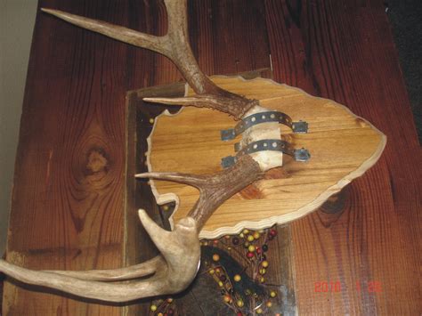 Antler Plaque Do It Yourself Hunter By Design