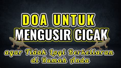 Bacaan Doa Mengusir Cicak Agar Tidak Lagi Berkeliaran Di Rumah Anda