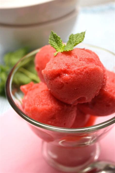 Raspberry Sorbet – Cooking Clarified