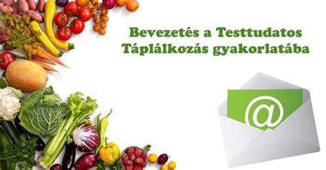 Bevezetés a testtudatos táplálkozás gyakorlatába Testtudatos Táplálkozás