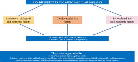 Sex Differences In Acute Aortic Dissection Time To Mind And To Bridge