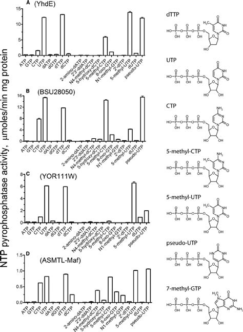 Nucleoside Triphosphate Pyrophosphatase Activity Of Purified Maf