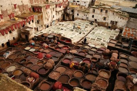 20 Best Full Day Tours In Fez