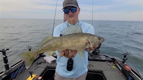 How To Troll For Deep Basin Walleye With Dipsy Divers Virtual Angling