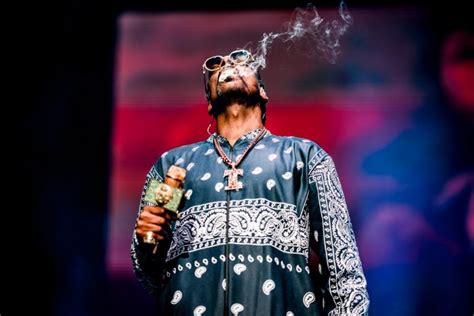 Live Review: Snoop Dogg smokes out Melbourne