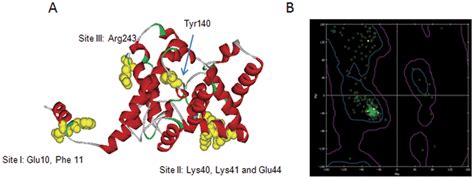 Epitope Mapping Of Sftsv N Protein By D Structure Prediction Critical