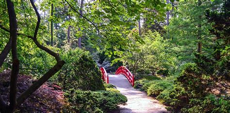 15 Of The Most Beautiful Botanical Gardens In North Carolina