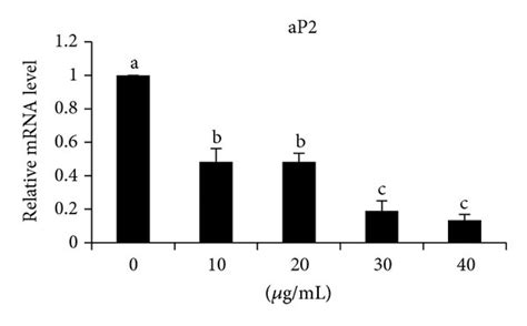 TLC Analysis Of GABA In The Culture Medium And Cytoplasmic Fraction Of