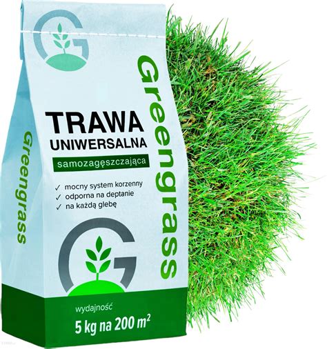 Greengrass Trawa Nasiona Samozagęszczająca Odporna Na Deptanie