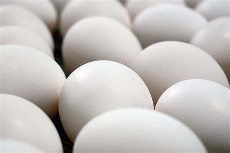 Oakdell Egg Farms - Traditional White Eggs