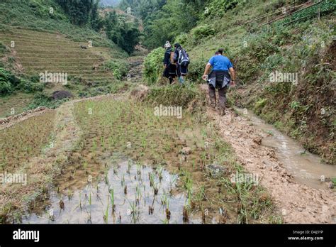 Sapa Region North Vietnam Woman Hi Res Stock Photography And Images Alamy