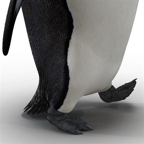 Pinguin Gehendes Modell Der Haltungs D D Modell Max Obj Ma