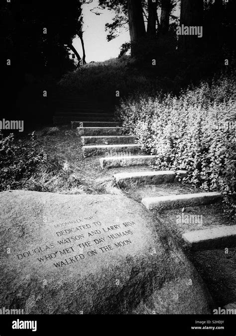 Black And White Photo Of Moonwalk Way In The National Aids Memorial