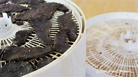 how to make jerky in dehydrator