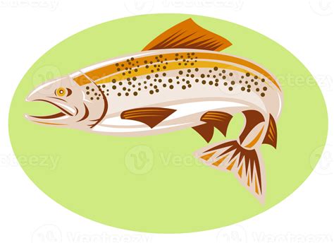 Trout Fish Jumping Png