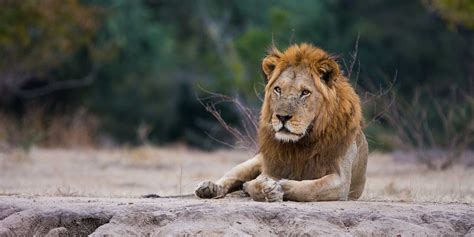 Kafue Lower Zambezi Photo Safari Wildlife Worldwide