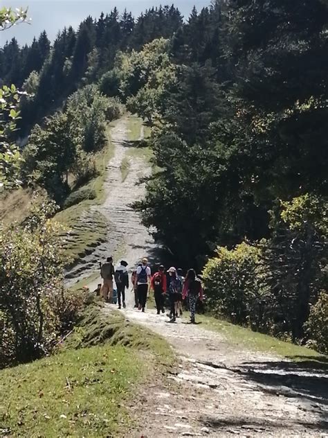 Séjour dintégration des 6ème