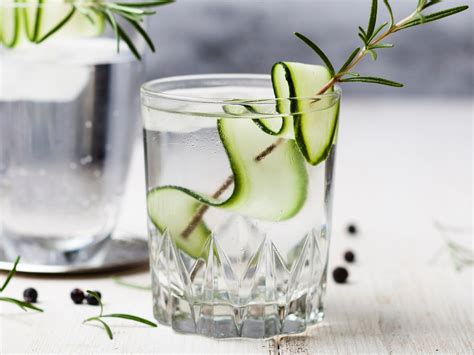 Arriba 54 Imagen Receta Gin Tonic Pepino Abzlocal Mx