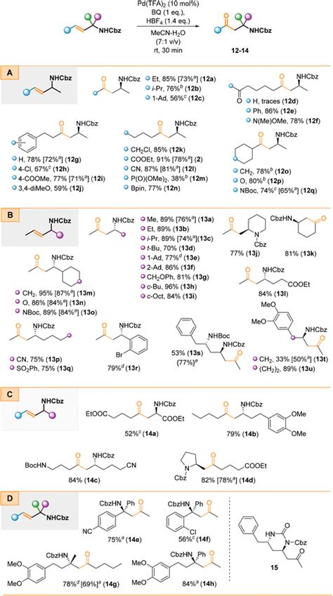 The Regioselective Wacker Oxidation Of Internal Allylamines Synthesis