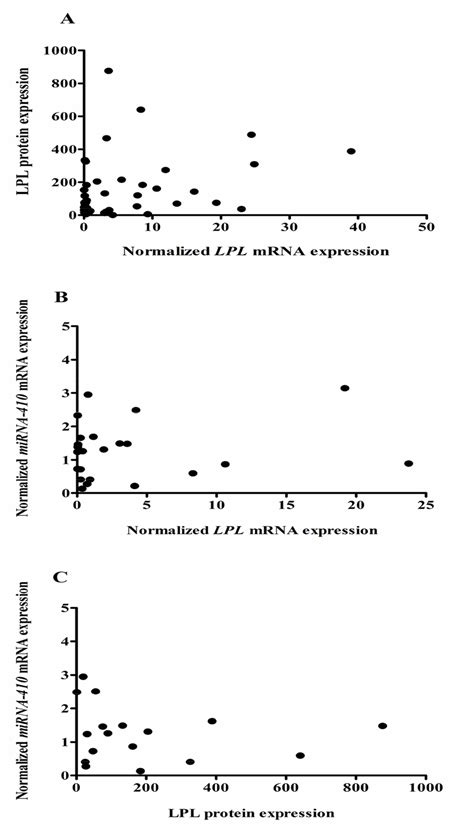 Correlation Between Lpl Protein Expression And Lpl Mrna Expression A