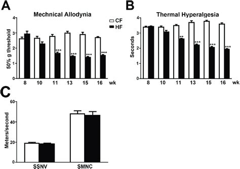 Hf Mice Develop Mechanical Allodynia And Thermal Hyperalgesia Reduced