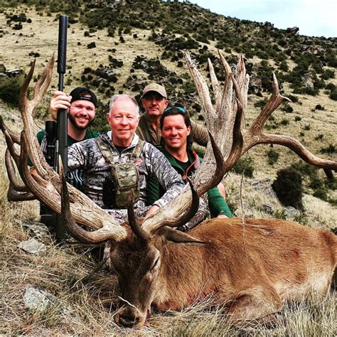 New Zealand Red Stag: Epic Hunts - Guaranteed Opportunities