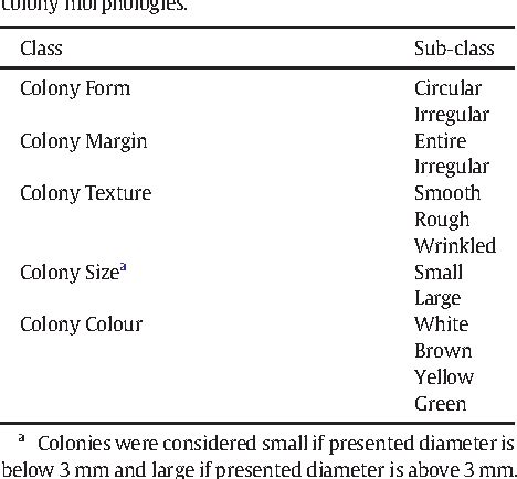 Figure 1 from Improvements on colony morphology identification towards ...