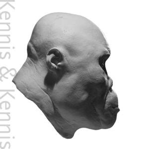 Resin Heads Kennis Kennis Reconstructions